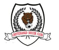 chittenango soccer logo