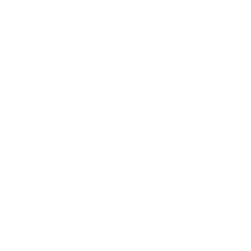 Organizations-Leaders